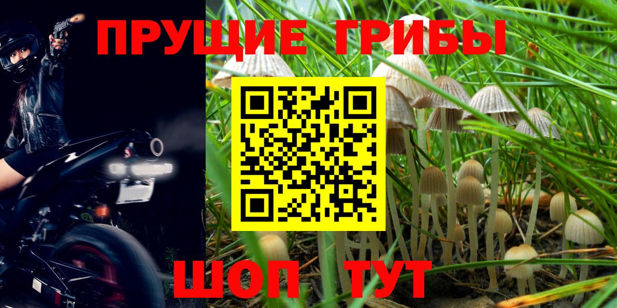 Псилоцибиновые грибы ЛСД Кизилюрт