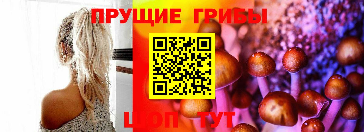 Кизилюрт  закладка  Вход с VPN  Псилоцибиновые грибы мицелий  Псилоцибиновые грибы Psilocybine cubensis 